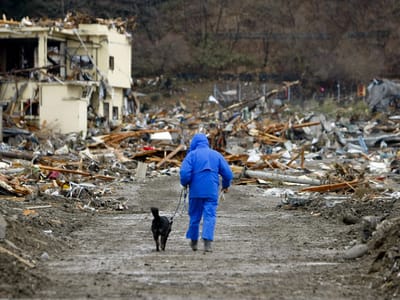 Japão: cinco mil mortos confirmados - TVI