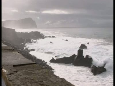 Açores: descobertos moluscos com mais de 5 milhões de anos - TVI
