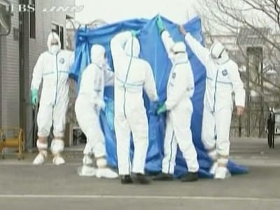 Japão: encontrados dois corpos de trabalhadores de Fukushima - TVI