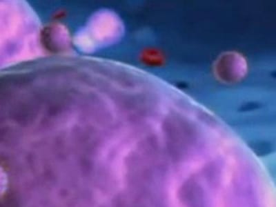 Novo teste para detetar anticorpos contra o vírus da SIDA - TVI