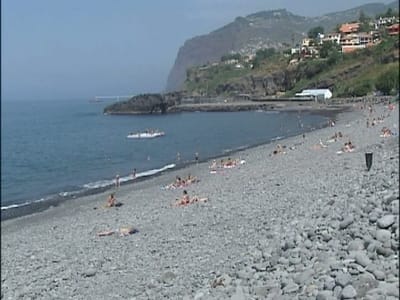 Madeira: nove partidos entregam listas no tribunal - TVI