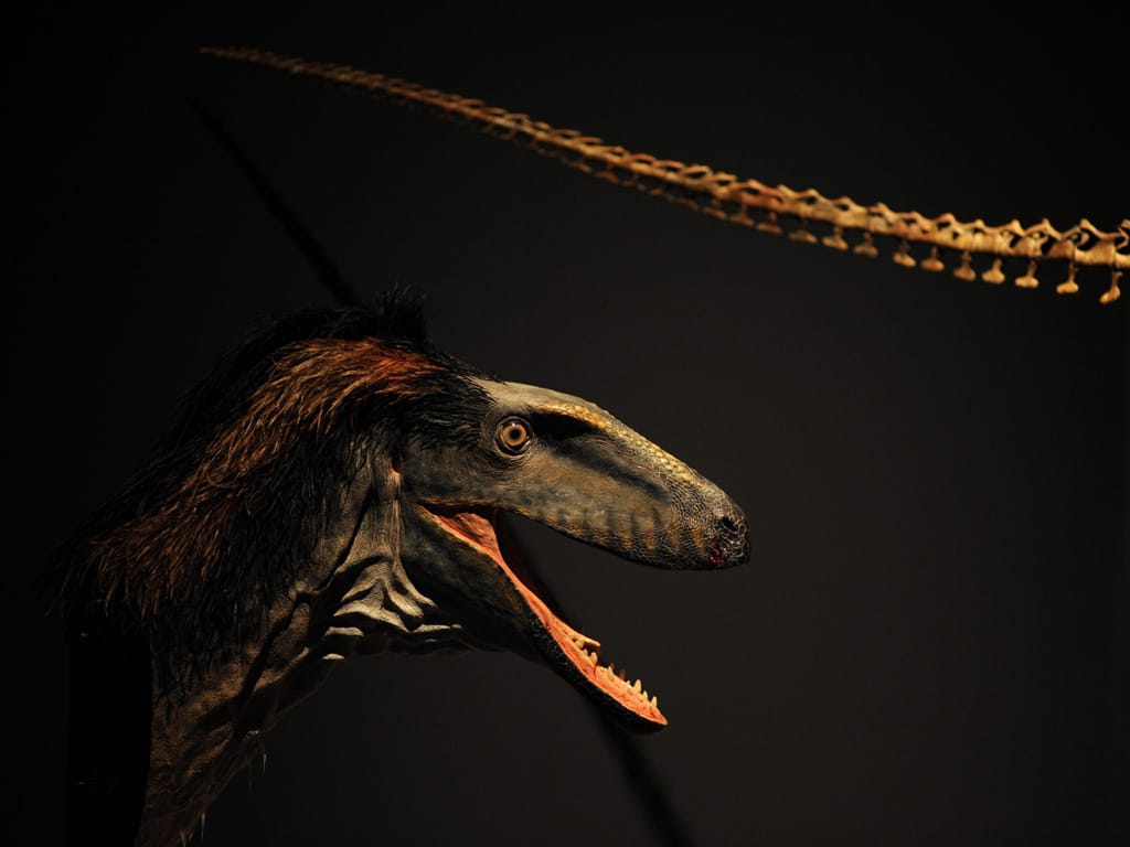 Dinossauro (arquivo) - EPA/FRANCK ROBICHON