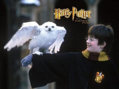 Harry Potter: 20 anos, 20 conceitos que vivem para lá dos livros - TVI