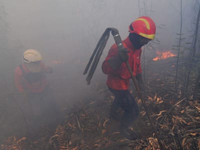 Dois incêndios activos em Bragança - TVI