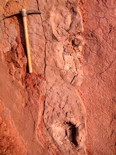 Português descobre primeiras pegadas de dinossauro em Angola - TVI