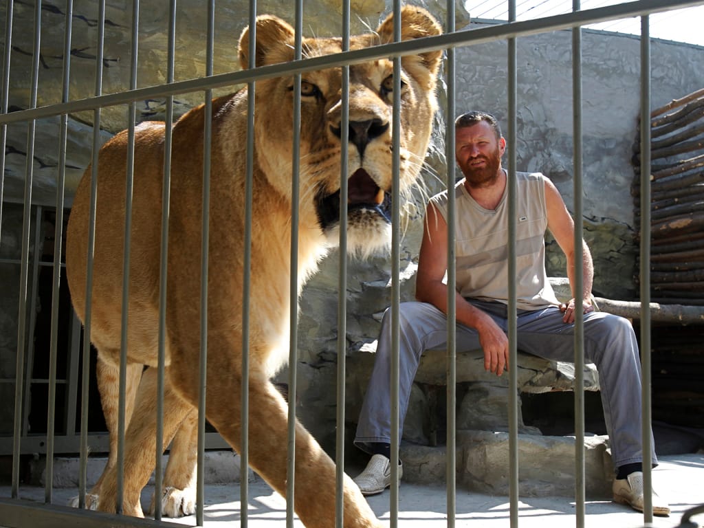 Ucraniano viveu 36 dias na jaula com uma leoa (Reuters)