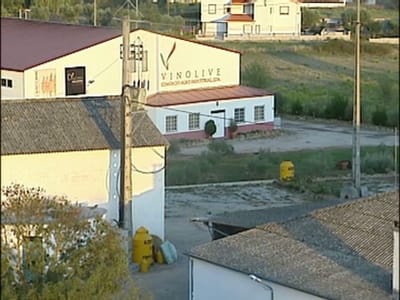 «Estrada Nacional» na Beira Interior - TVI