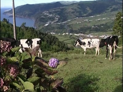 Associação alerta para perigo de sobrecarga turística nos Açores - TVI