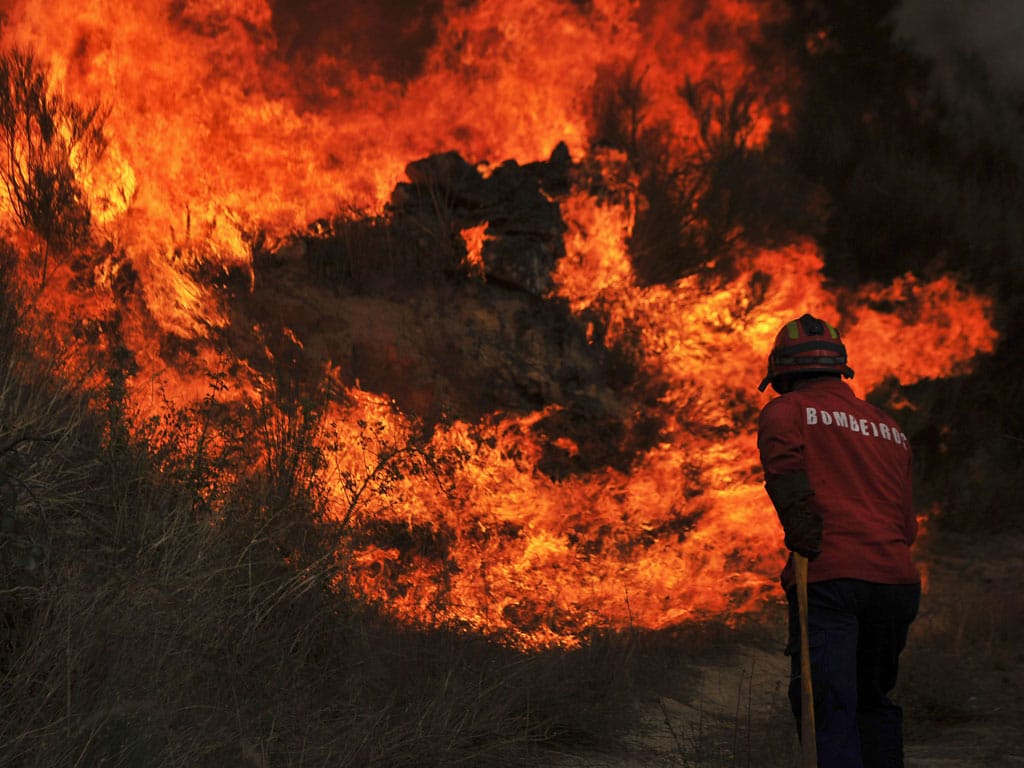 Incêndio em Moimenta da Beira - NUNO ANDRE FERREIRA/LUSA