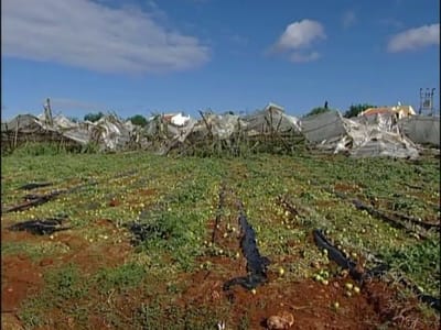 Faro: temporal destrói 10% das estufas - TVI