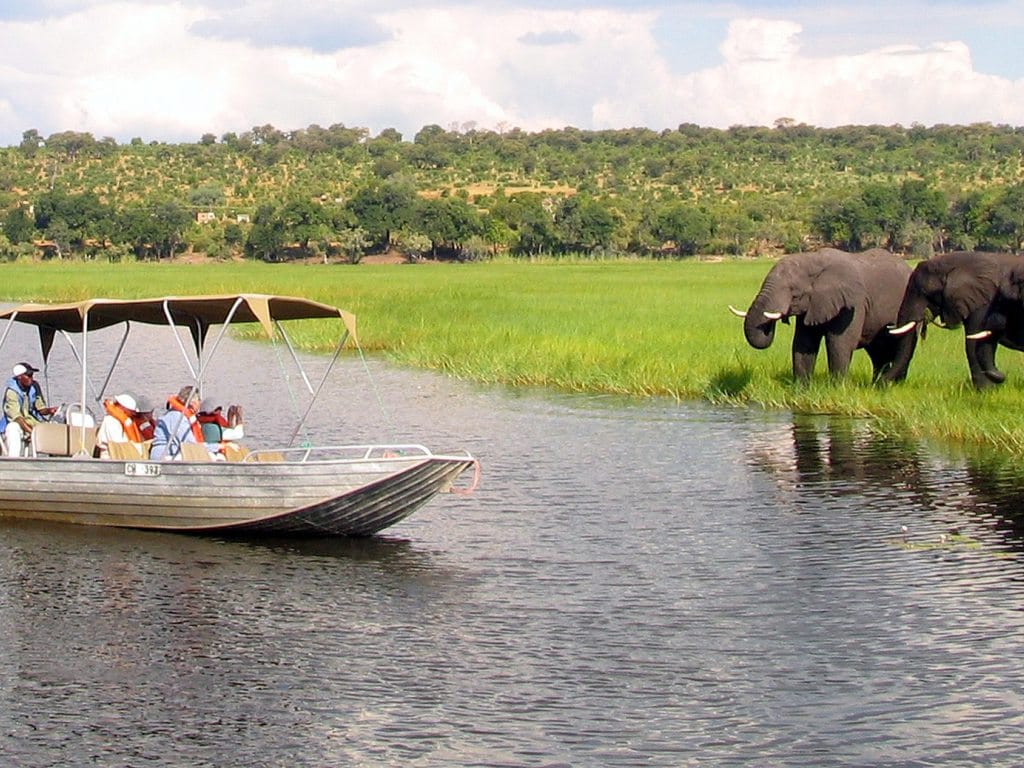 Safari na Zâmbia