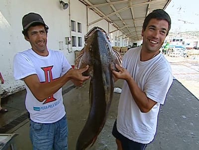 O melhor peixe do mundo é português - TVI