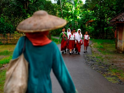 Indonésia é o país que destrói mais florestas - TVI