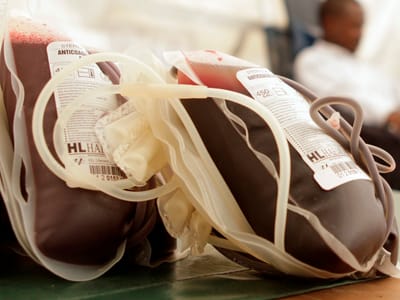 Sangue de pacientes curados do ébola vendido no mercado negro - TVI