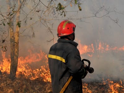 Risco máximo de incêndio em vários concelhos - TVI