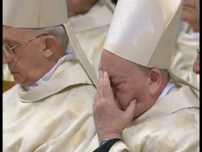 Papa condena apelo à «desobediência religiosa» - TVI