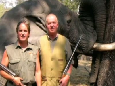 WWF: milhares exigem afastamento do rei - TVI