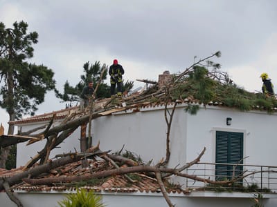 Tornado: «Eu ainda estou em pânico» - TVI
