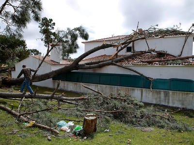 Tornado provocou danos em 18 casas - TVI