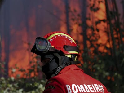 Registados 179 incêndios nas últimas 24 horas - TVI