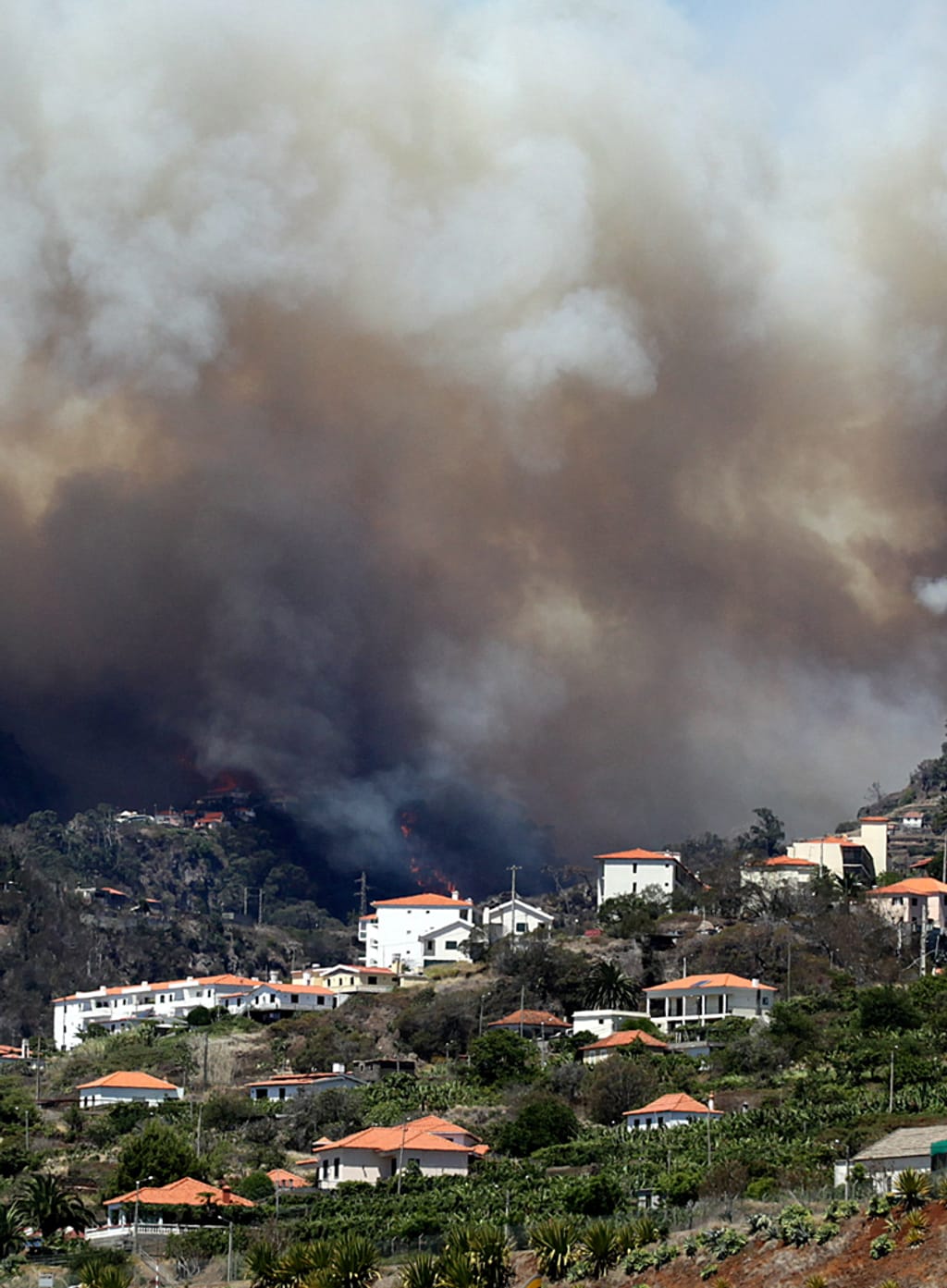 Incêndio na Ilha do Funchal, Madeira (ANTÓNIO COTRIM/LUSA)