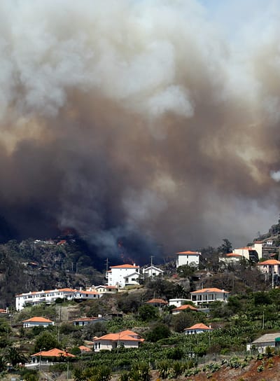 Madeira: JSD pede aos militantes para darem apoio a bombeiros - TVI