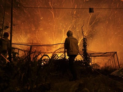 Madeira entra no 5º dia de fogos com pontos críticos - TVI