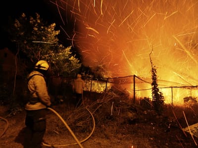 Incêndios na Madeira: famílias já estão todas realojadas - TVI