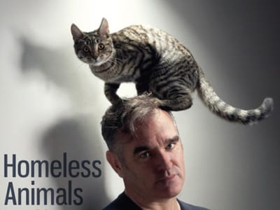 Morrissey tem um gato na cabeça - TVI