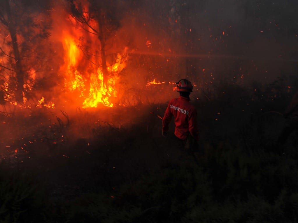 Bombeiros combatem fogo no Caramulo (LUSA)