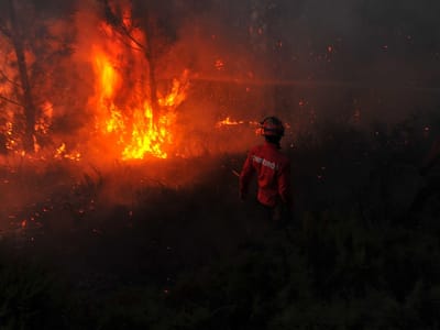 Incêndio na Pampilhosa mobilizou 136 elementos - TVI