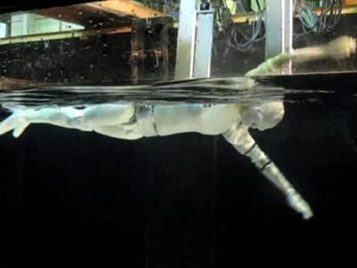 Conheça o futuro robô «nadador-salvador» - TVI