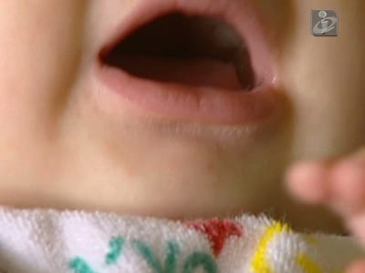 Chucha evita morte súbita de recém-nascido - TVI