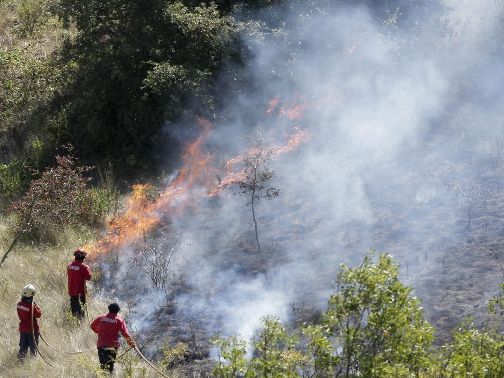 Bombeiros combatem chamas em Adanaia (Rodrigo Baptista/LUSA)