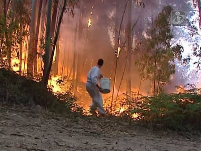 Oliveira de Frades: povo apaga o fogo como pode - TVI