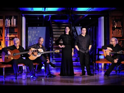 Quinteto Lisboa quer «dar uma alma nova ao fado» - TVI