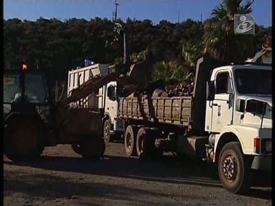 Populares ajudam na limpeza de Silves - TVI
