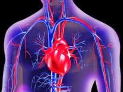 Ataques cardíacos aumentam na 2ª feira após mudança de hora - TVI