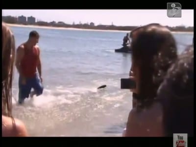Turista que lutou com tubarão foi despedido porque estava de baixa - TVI