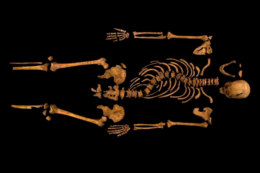 Descoberto o esqueleto do Rei Ricardo III de Inglaterra (EPA)