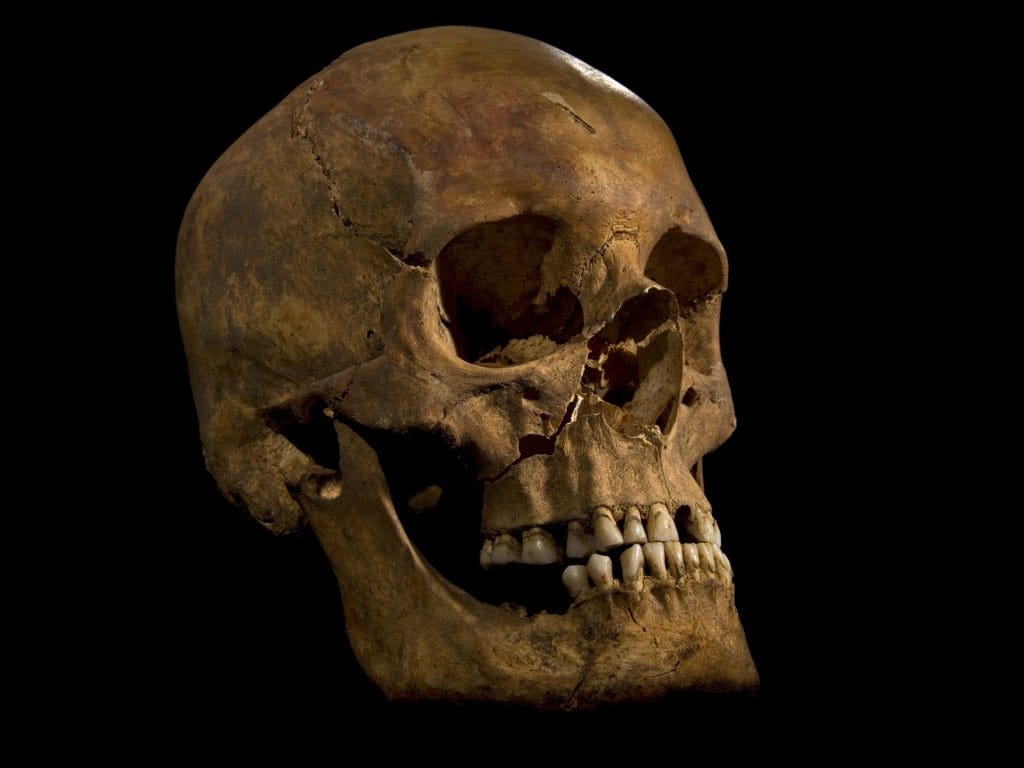 Descoberto o esqueleto do Rei Ricardo III de Inglaterra (EPA)