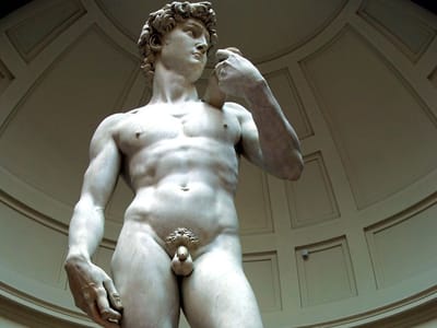 O David de Michelangelo tem articulações fracas - TVI
