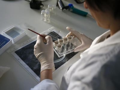 Cientistas japoneses criam coração artificial com células estaminais - TVI