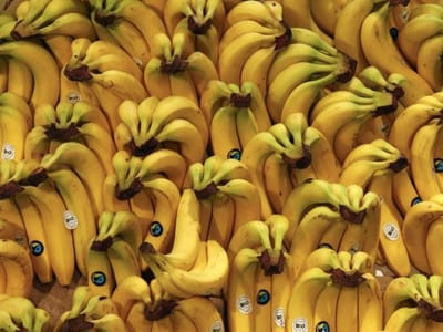 «Gente bonita come fruta feia»: quanto vale uma boa ideia - TVI