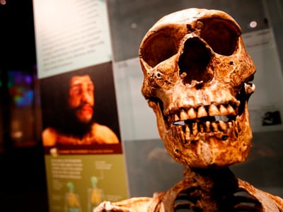 Espécie humana tem mais 100 mil anos do que o que se pensava - TVI