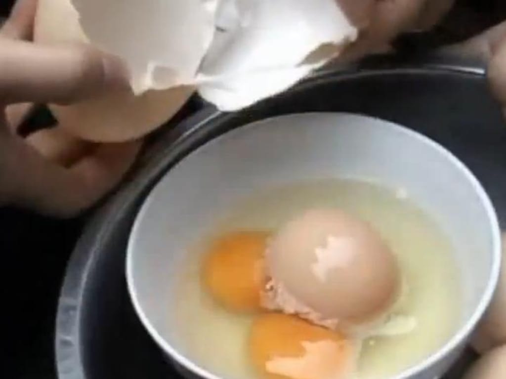 Galinha põe ovo com duas gemas e outro ovo dentro