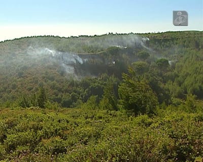 Incêndio dominado no Parque Natural de Sintra-Cascais - TVI