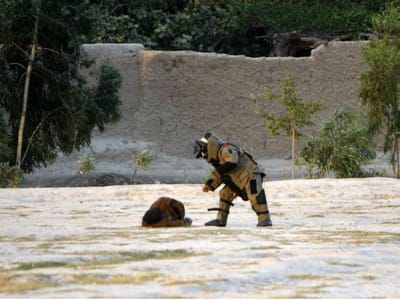 Bombista suicida mata 19 pessoas no Afeganistão - TVI