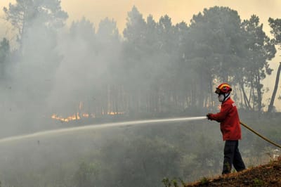 Fogos em Cinfães e Castro Daire mobilizam 60 bombeiros - TVI