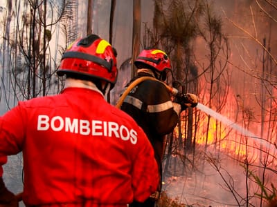 Mais de 700 bombeiros a combater os fogos - TVI